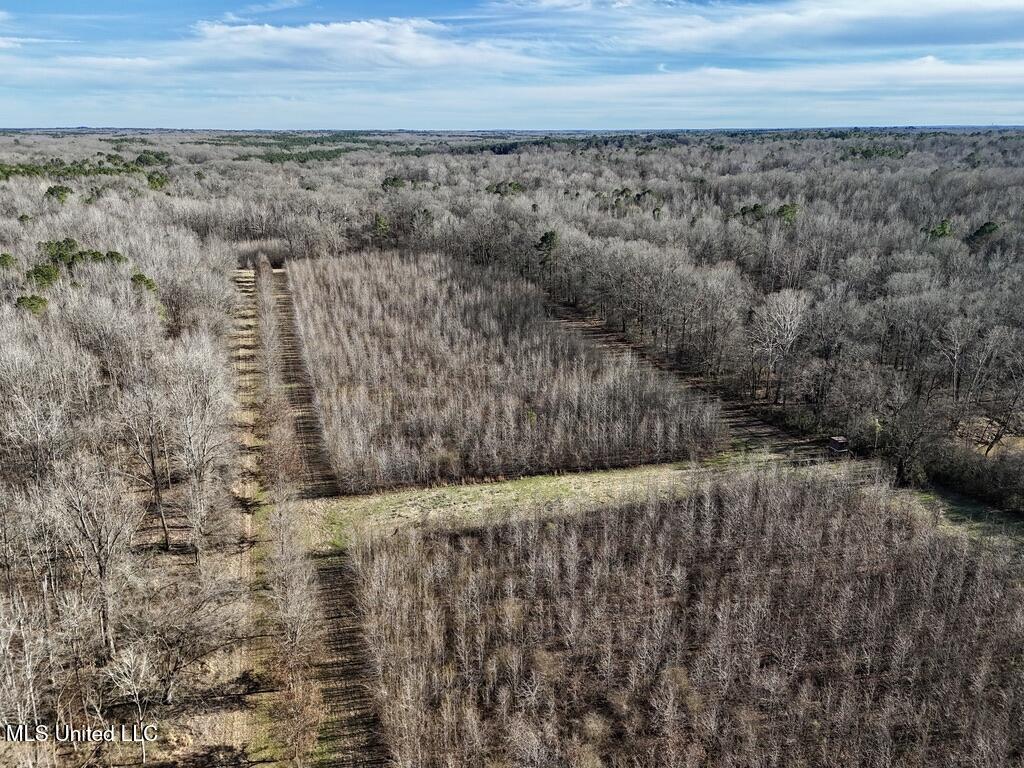 24437 Highway 17 Lexington, MS 39095 - Photo 12 of 58 BB268389-1F73-46DC-9E92-8A4861C0DCD3_1_1