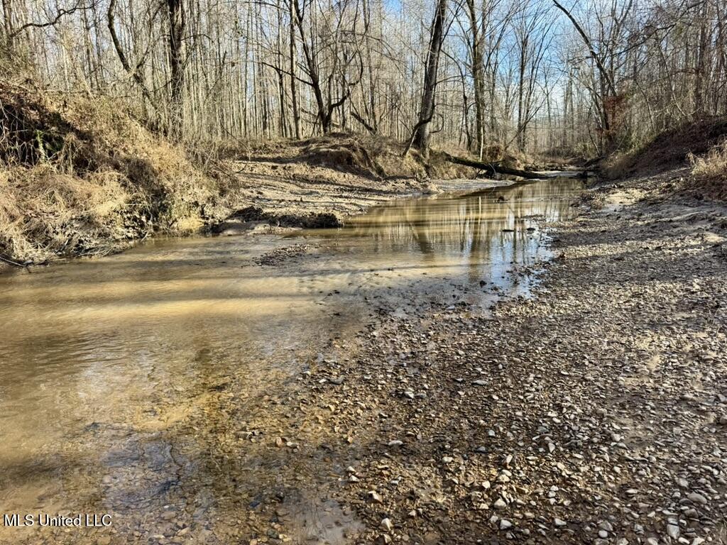 24437 Highway 17 Lexington, MS 39095 - Photo 13 of 58 3F8BE0AC-ADA9-48CC-A667-203D8742E115_1_1