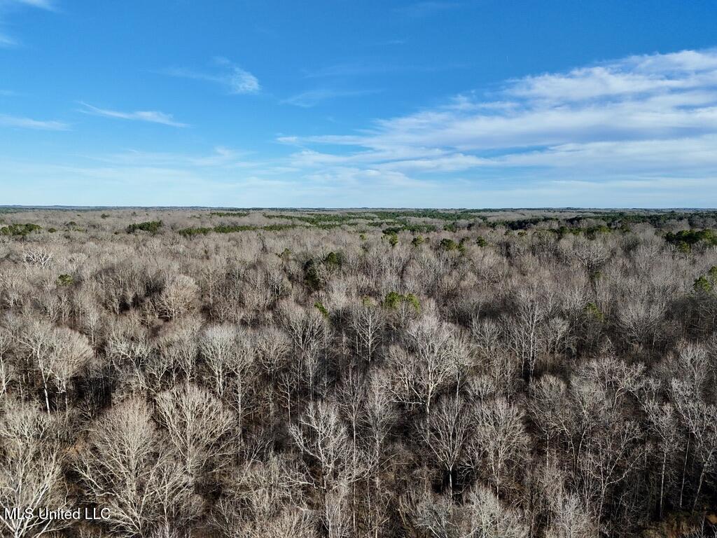24437 Highway 17 Lexington, MS 39095 - Photo 16 of 58 D42231AE-66ED-4D00-B6AC-84DF6768086A_1_1