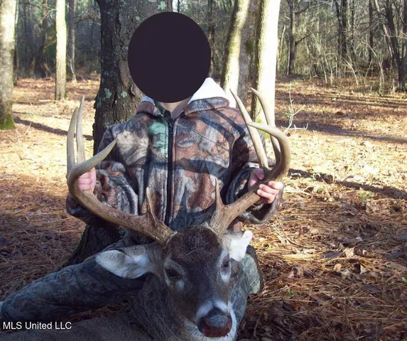 $1,550,000 | 24437 Highway 17, Lexington, MS 39095