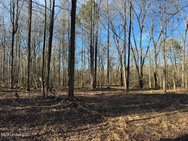 $1,550,000 | 24437 Highway 17, Lexington, MS 39095