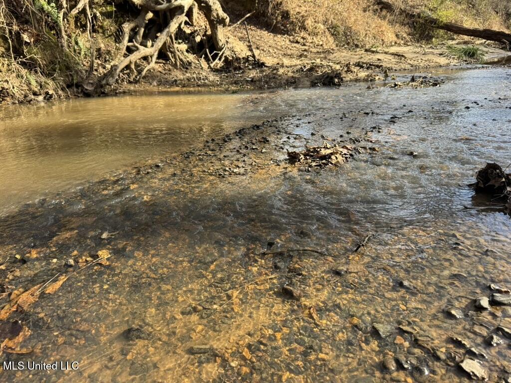 24437 Highway 17 Lexington, MS 39095 - Photo 19 of 58 3F915A31-2456-4E4B-8E17-82AF90C6D516_1_1