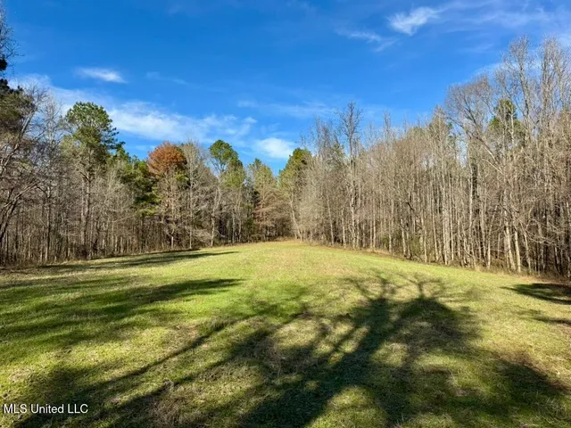 $1,550,000 | 24437 Highway 17, Lexington, MS 39095