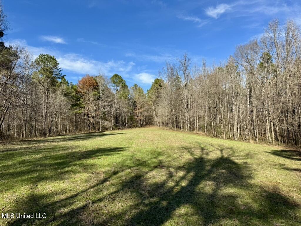 24437 Highway 17 Lexington, MS 39095 - Photo 22 of 58 B0D63411-A841-4F06-B2F5-9B562B6A4B69_1_1