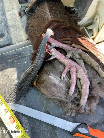 $1,550,000 | 24437 Highway 17, Lexington, MS 39095