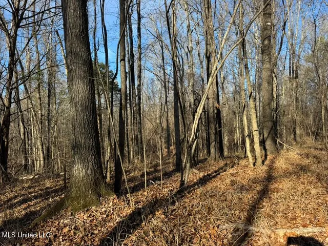 $1,550,000 | 24437 Highway 17, Lexington, MS 39095