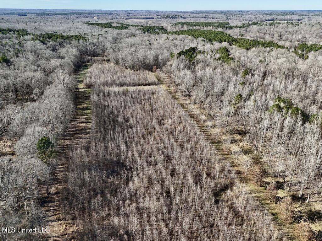 24437 Highway 17 Lexington, MS 39095 - Photo 26 of 58 C48574DD-3DCC-4AEC-A8AB-57897E249101_1_1