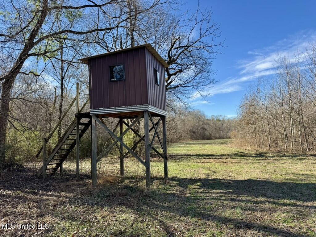 24437 Highway 17 Lexington, MS 39095 - Photo 3 of 58 A9364C45-F828-4821-AD0E-4900C533EF4E_1_1