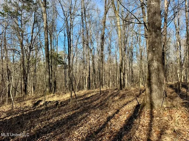 $1,550,000 | 24437 Highway 17, Lexington, MS 39095