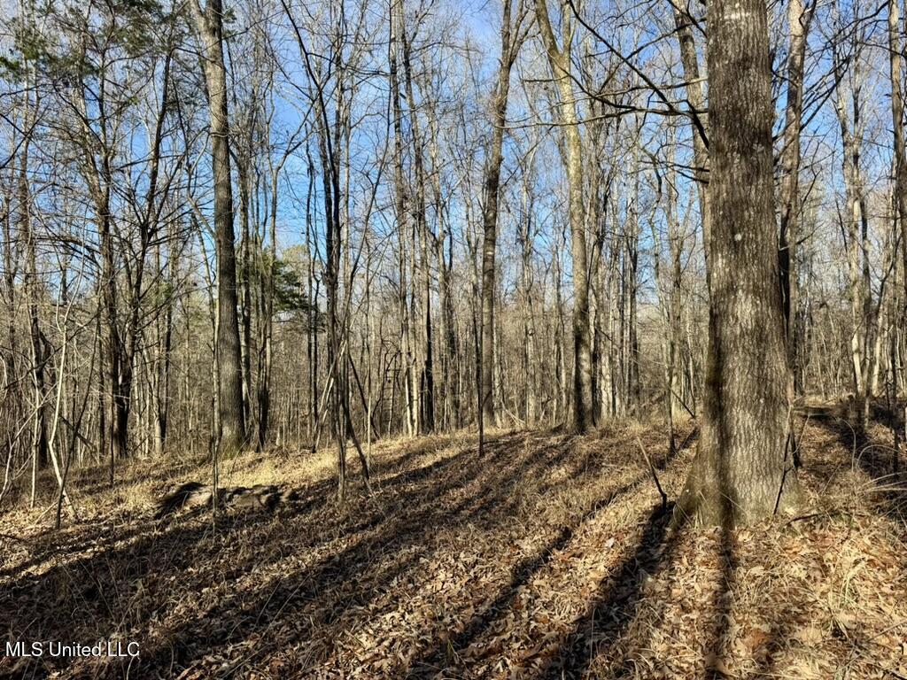 24437 Highway 17 Lexington, MS 39095 - Photo 31 of 56 B382FCD9-867E-46AE-9064-FF85A699AD15_1_1
