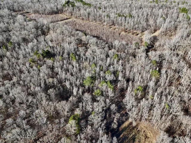 $1,550,000 | 24437 Highway 17, Lexington, MS 39095