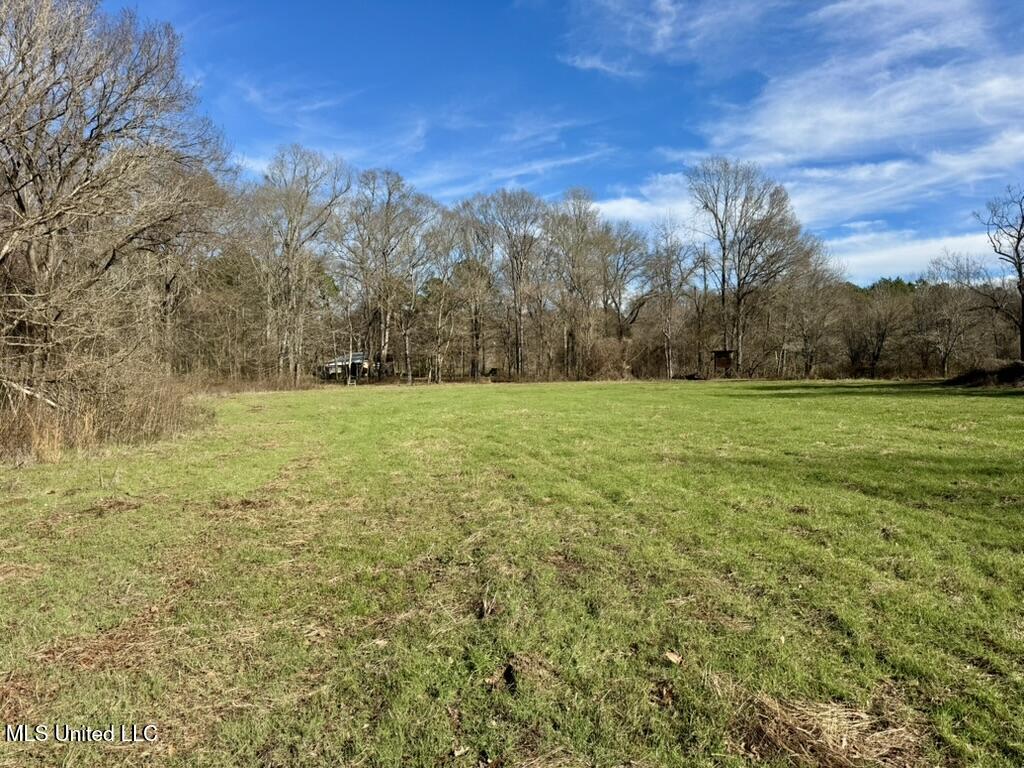 24437 Highway 17 Lexington, MS 39095 - Photo 33 of 56 A8FEBA4C-440E-4140-9237-9D44ADCE6198_1_1