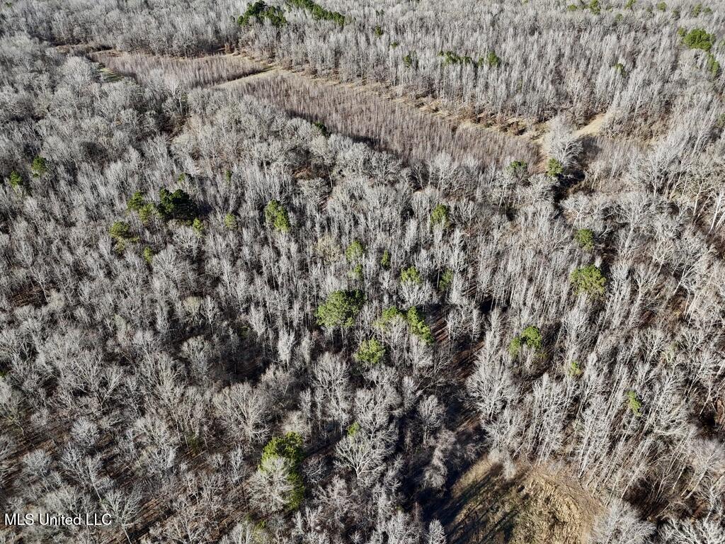 24437 Highway 17 Lexington, MS 39095 - Photo 34 of 58 CF07420B-84C2-4CCF-9F3B-DE5C8610EB2A_1_1