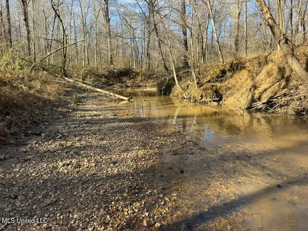 $1,550,000 | 24437 Highway 17, Lexington, MS 39095