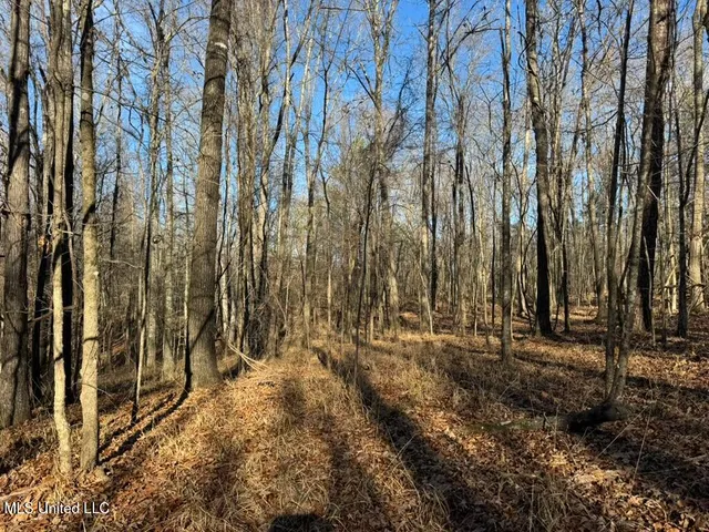 $1,550,000 | 24437 Highway 17, Lexington, MS 39095