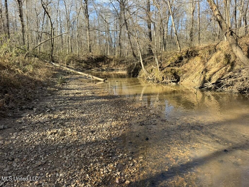 24437 Highway 17 Lexington, MS 39095 - Photo 36 of 58 8C3862DE-C402-4356-BEE1-ACA0D109D3E5_1_1
