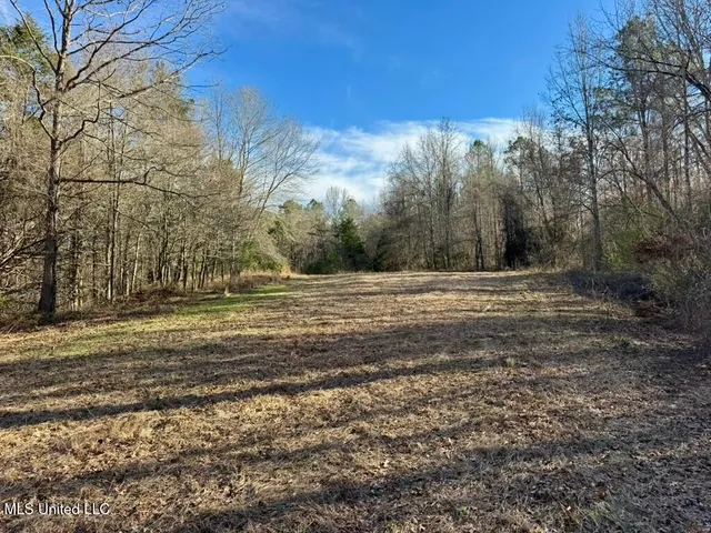 $1,550,000 | 24437 Highway 17, Lexington, MS 39095