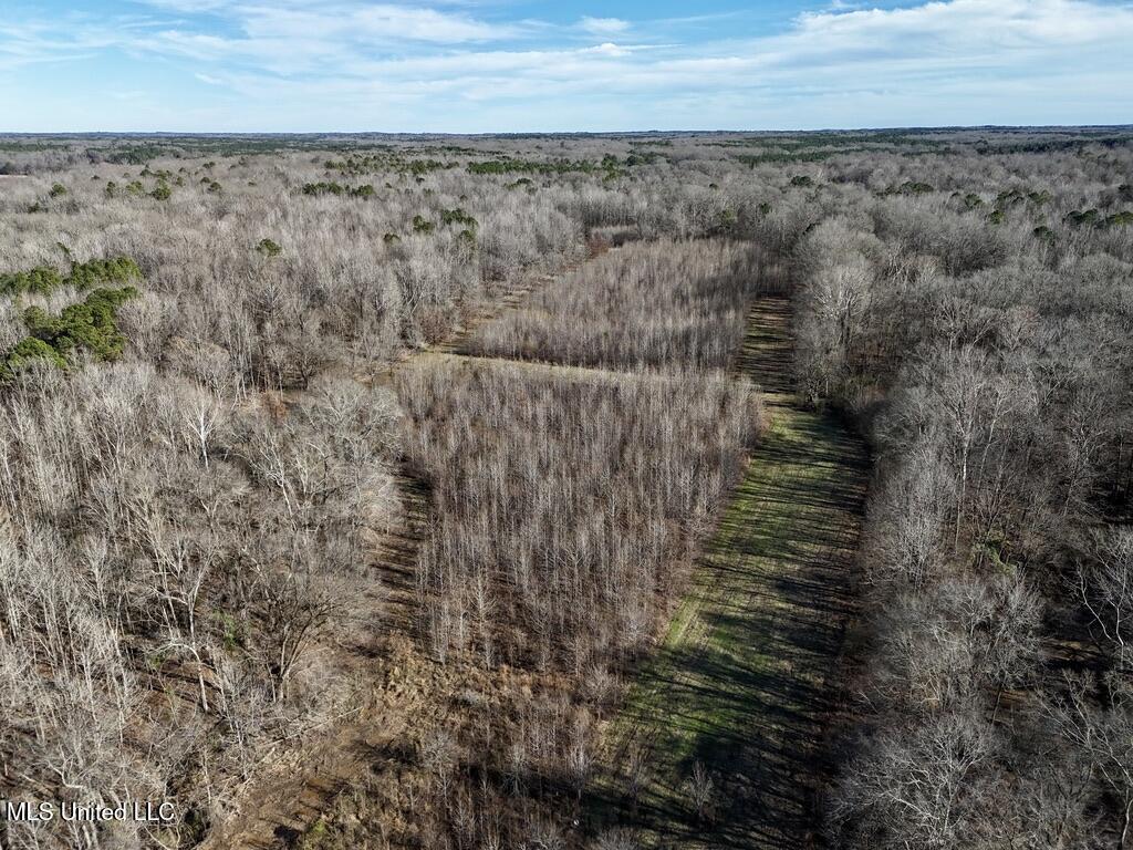 24437 Highway 17 Lexington, MS 39095 - Photo 37 of 58 E2FE6EF2-778F-4685-BB22-D61A0EEA593A_1_1