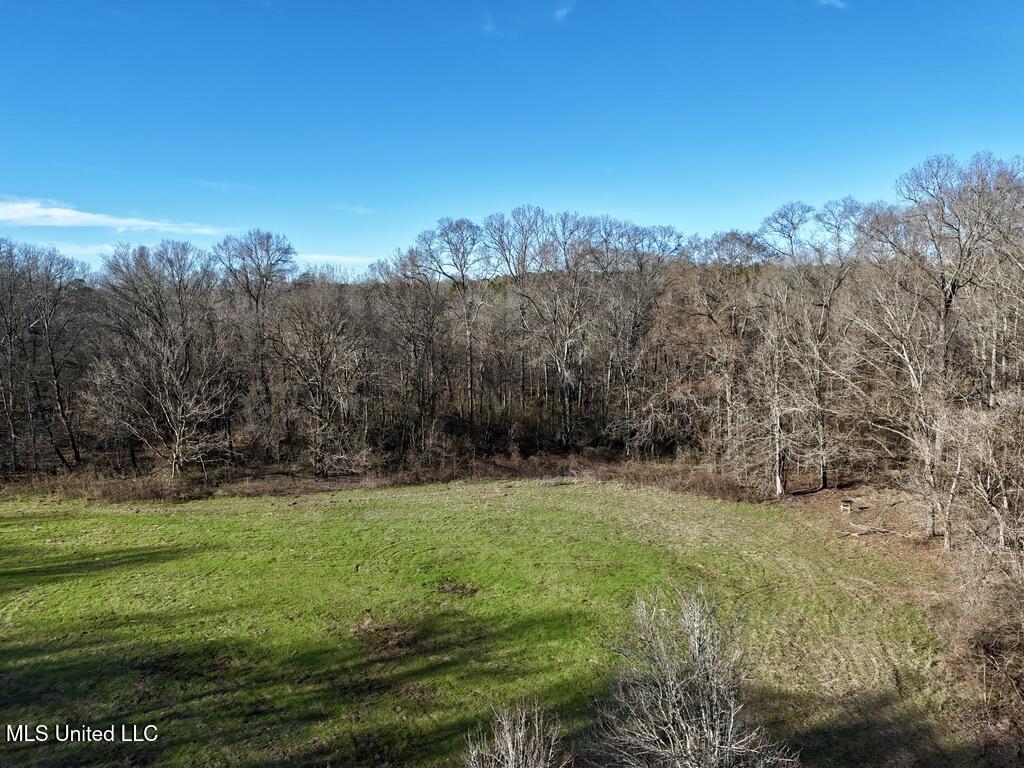 24437 Highway 17 Lexington, MS 39095 - Photo 39 of 56 40F94F4D-FD57-45AA-A02D-2A0ED3E0FFE4_1_1