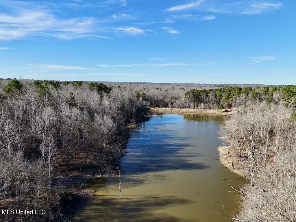 24437 Highway 17 Lexington, MS 39095 - Photo 40 of 58 2D064D96-AAB3-4E3B-BA92-C32225771619_1_1