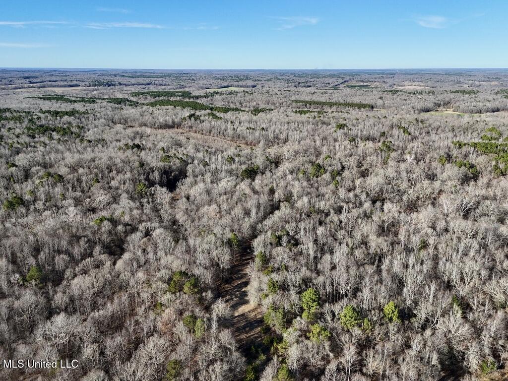 24437 Highway 17 Lexington, MS 39095 - Photo 40 of 56 AB2F7683-8400-4EA3-9120-2814CD0DBB65_1_1