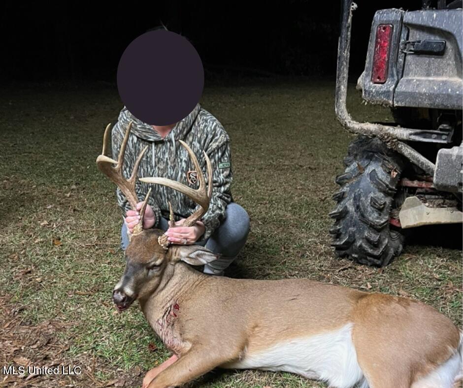 24437 Highway 17 Lexington, MS 39095 - Photo 4 of 58 41346A75-4C4F-4CAB-9BFE-7828743B5945