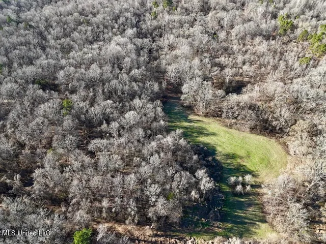 $1,550,000 | 24437 Highway 17, Lexington, MS 39095