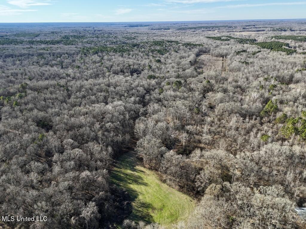 24437 Highway 17 Lexington, MS 39095 - Photo 42 of 56 D69D15BA-C598-4030-BF14-FCCC06852D4E_1_1