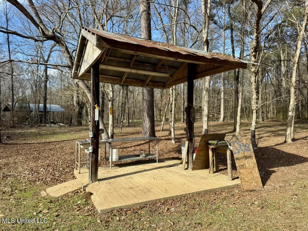 24437 Highway 17 Lexington, MS 39095 - Photo 50 of 58 B9AADB9B-5100-4191-9116-DA0F8074E88A_1_1