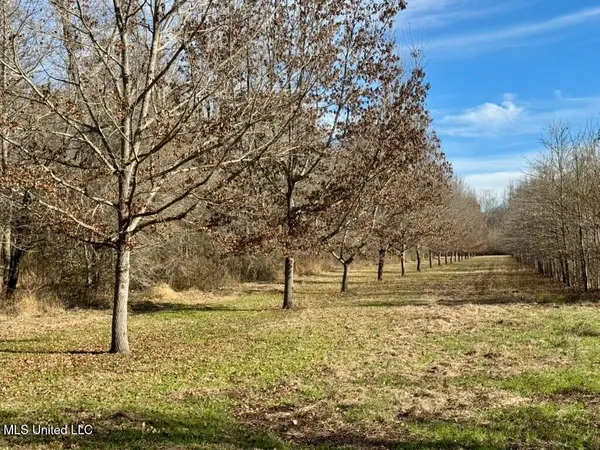 $1,550,000 | 24437 Highway 17, Lexington, MS 39095