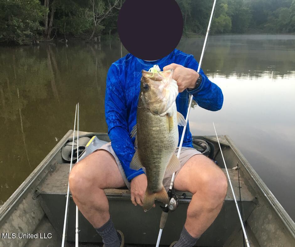 24437 Highway 17 Lexington, MS 39095 - Photo 6 of 58 C1B1F72C-8129-43A7-BDD2-980C5F971458