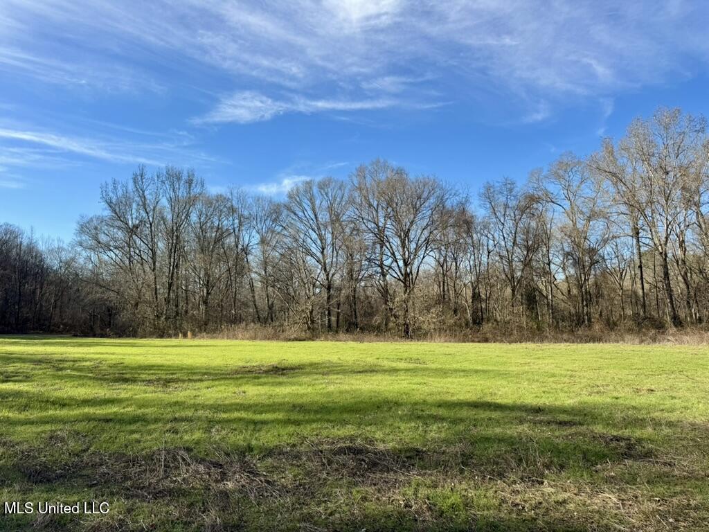 24437 Highway 17 Lexington, MS 39095 - Photo 8 of 58 3DF05D5D-EF41-4167-BB06-70C3E0CA18AF_1_1