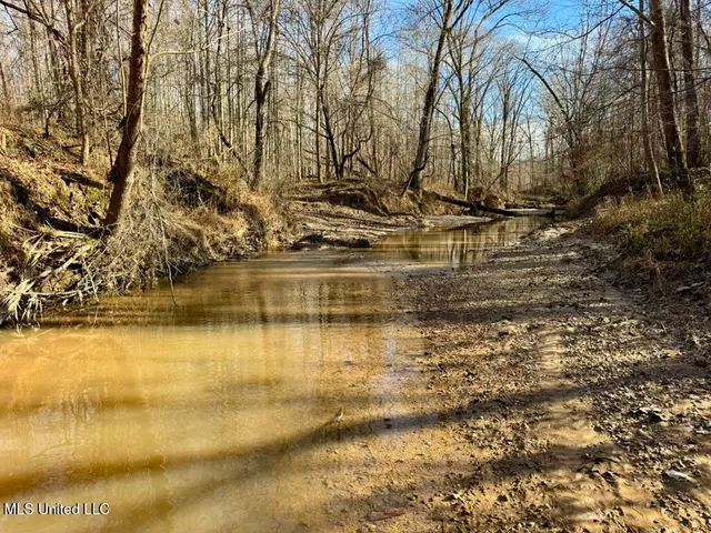 $1,550,000 | 24437 Highway 17, Lexington, MS 39095