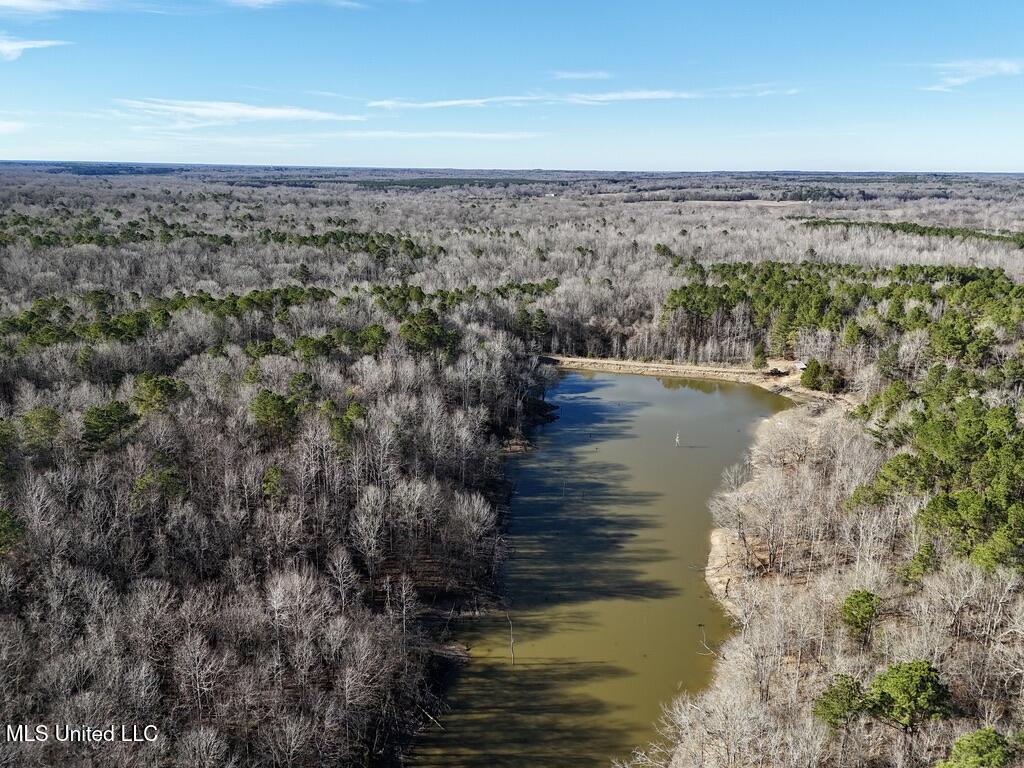 24437 Highway 17 Lexington, MS 39095 - Photo 10 of 58 C2C69383-2AD1-4BF7-8C73-01FBA2F1FD4D_1_1