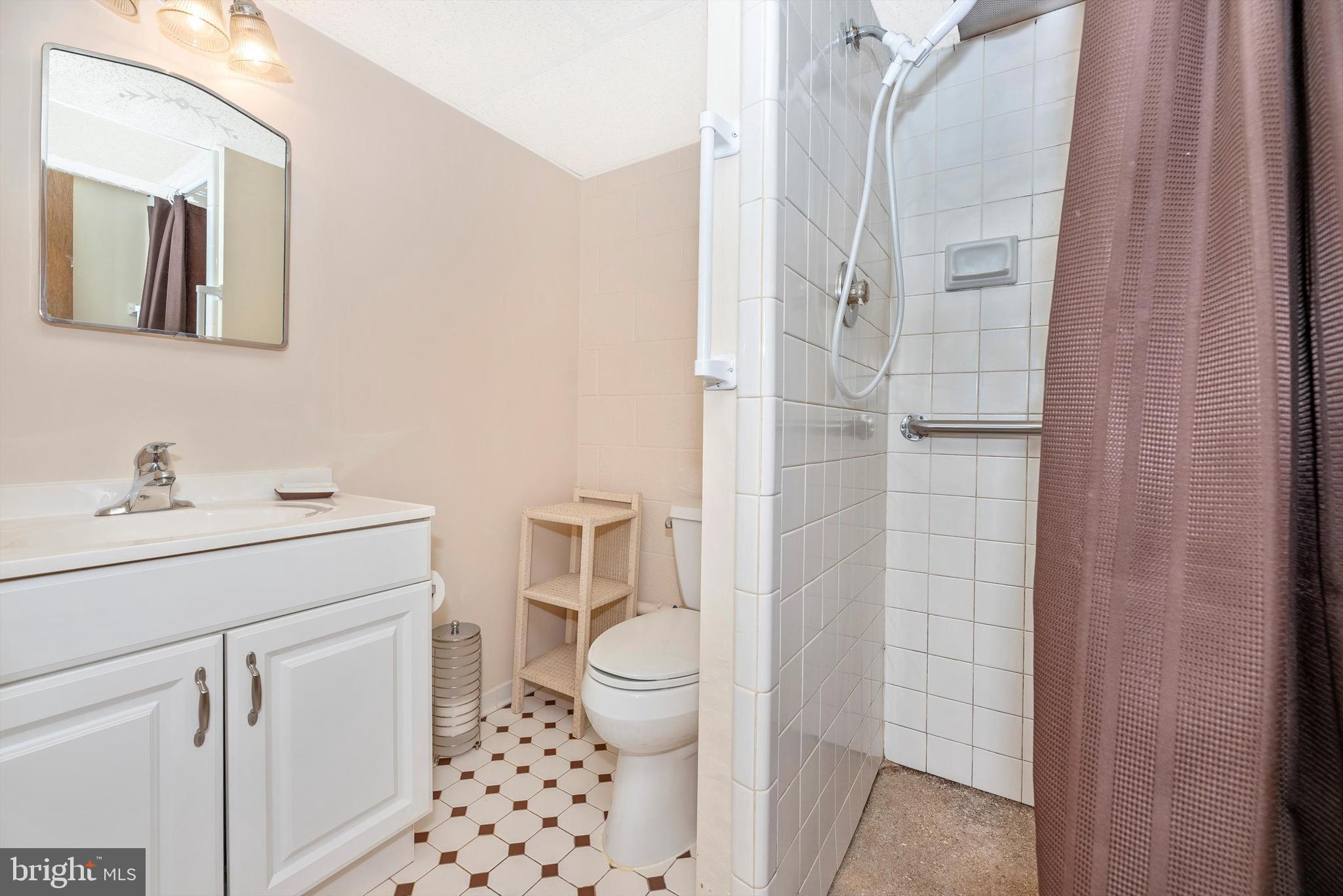 17524 Frederick Road Mount Airy, MD 21771 - Photo 29 of 38 Lower Level Bathroom