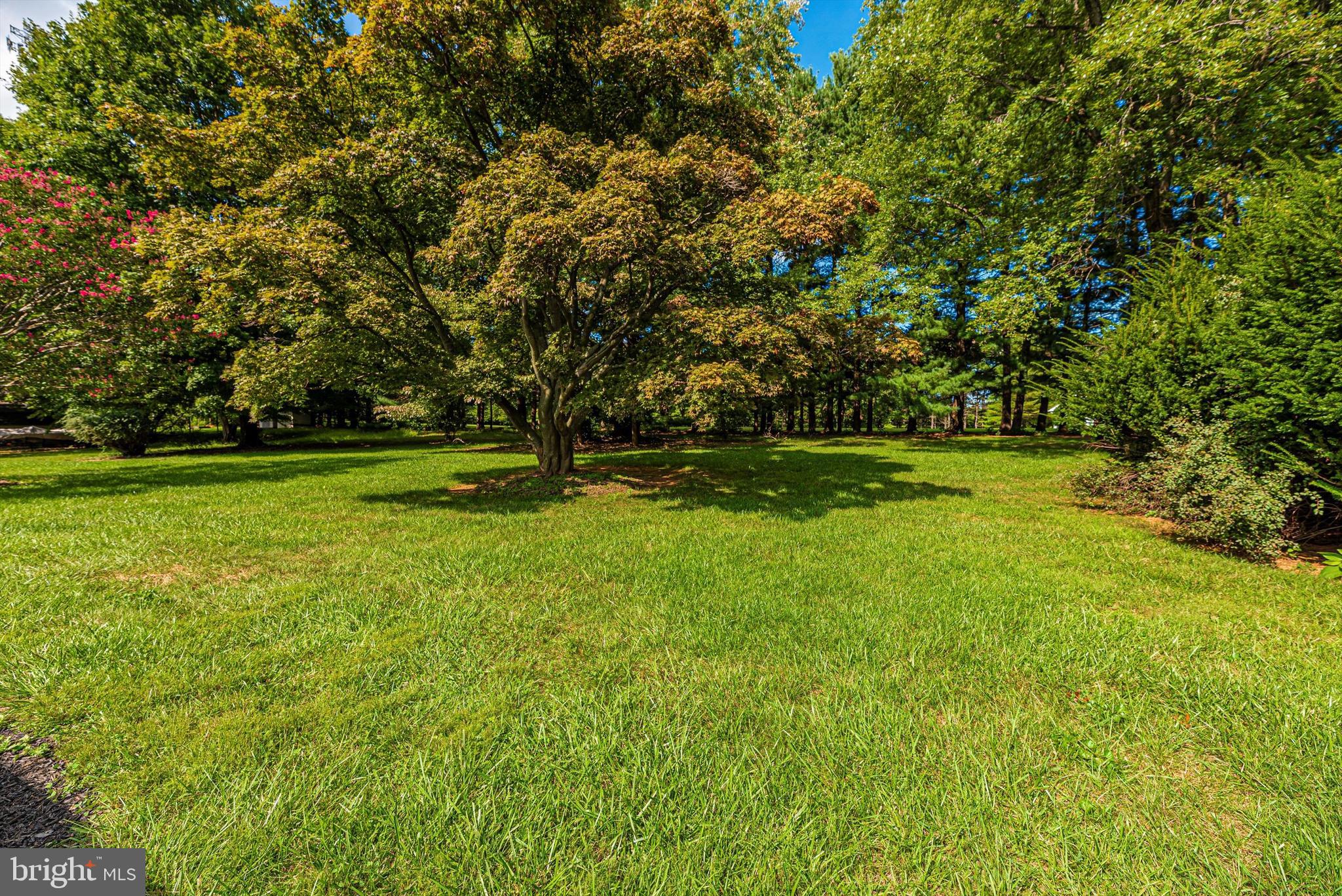 17524 Frederick Road Mount Airy, MD 21771 - Photo 37 of 38 Large Yard