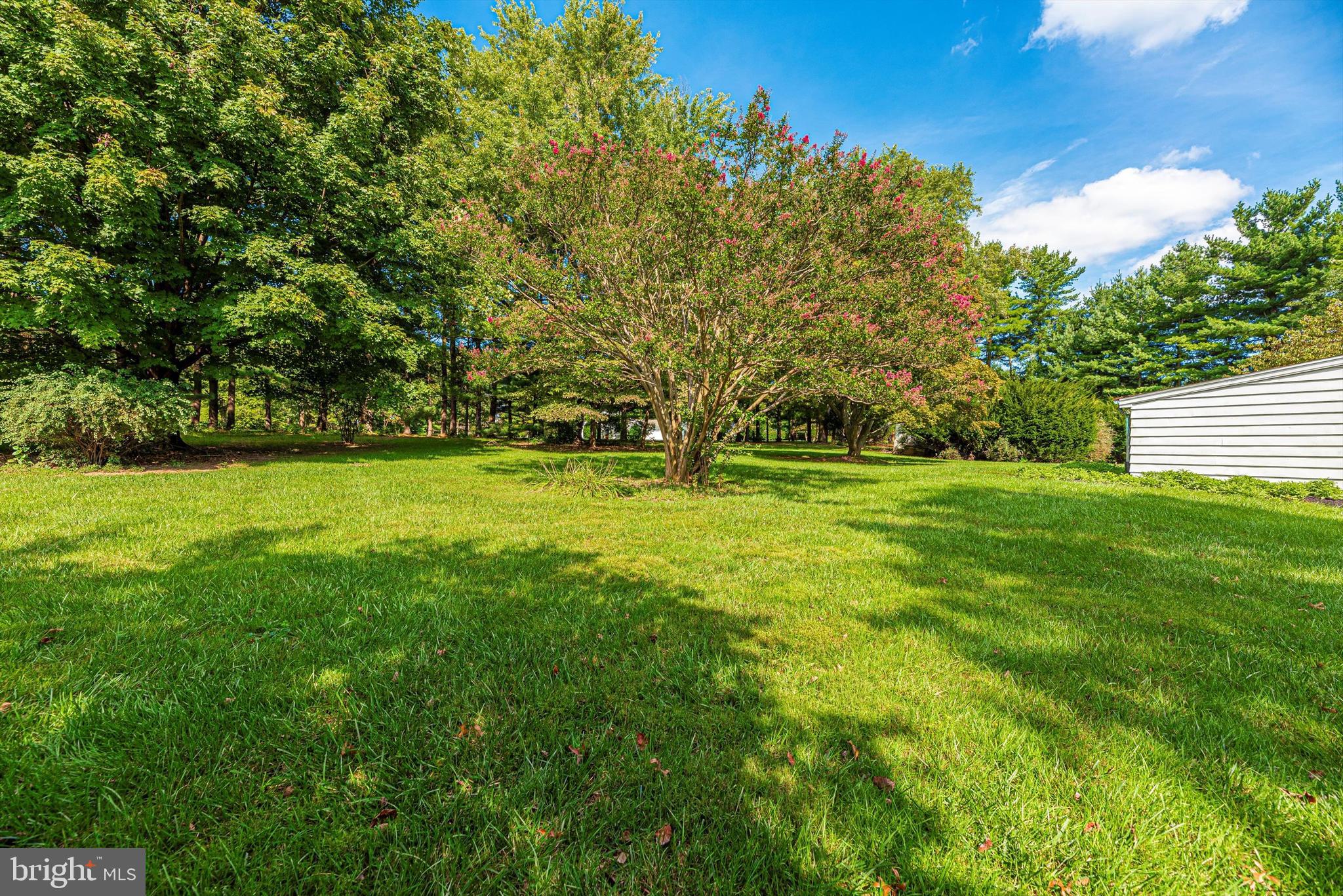 17524 Frederick Road Mount Airy, MD 21771 - Photo 38 of 38 Large Yard
