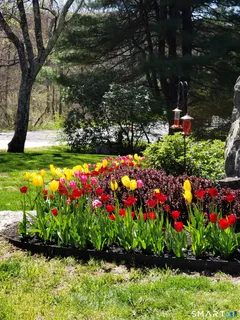 a bunch of flowers are in a yard