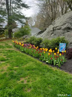 a view of a flowers in a yard