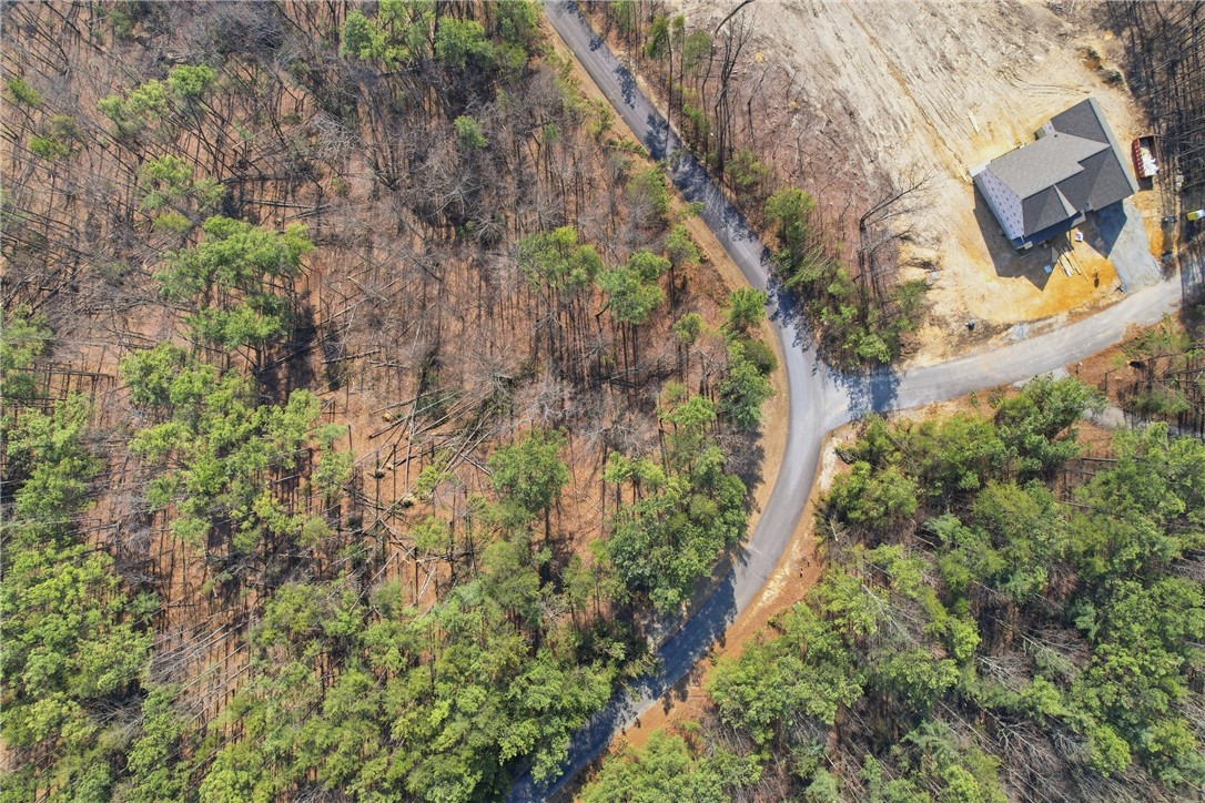 S-28 Tamassee Ridge Way Salem, SC 29676 - Photo 6 of 21