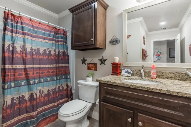a bathroom with a sink a toilet and shower curtain