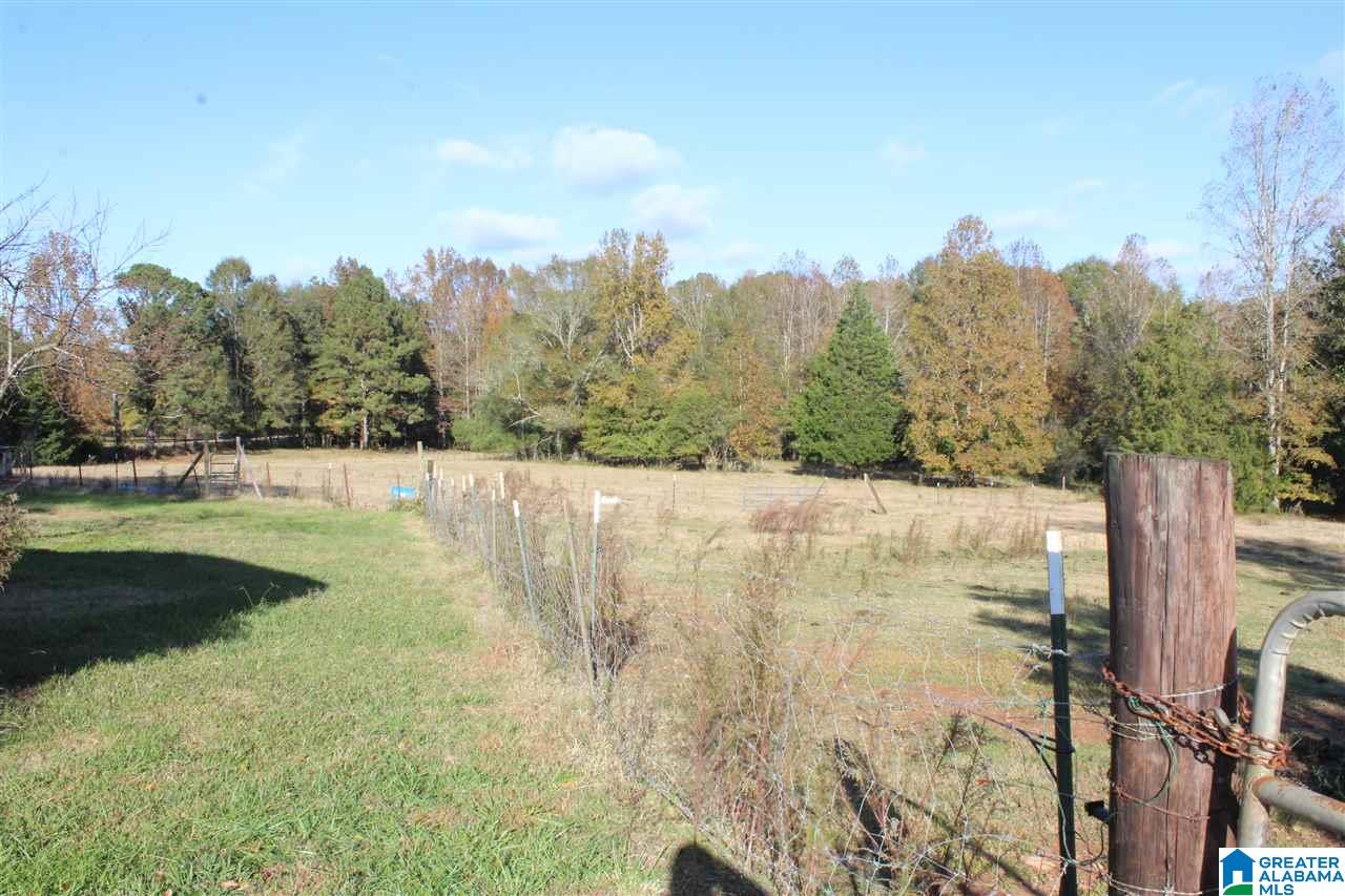 853 Bailey Road Cragford, AL 36255 - Photo 18 of 39