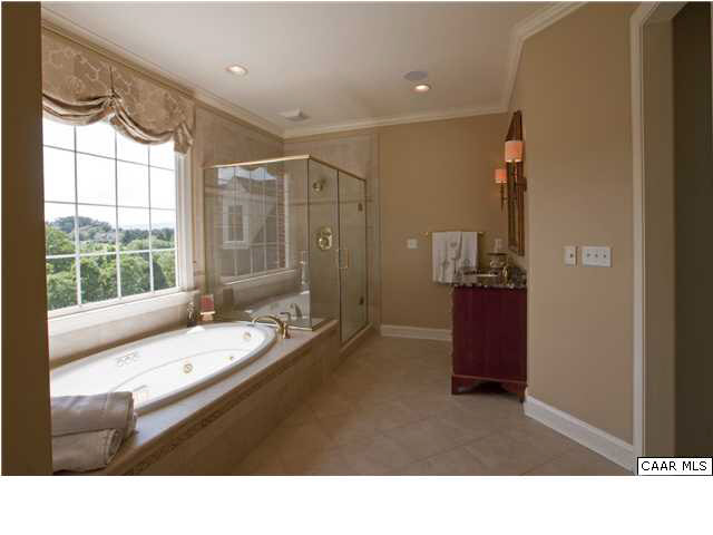 3505 Rocks Mill Lane Charlottesville, VA 22903 - Photo 25 of 33 a bathroom with a sink a toilet and shower