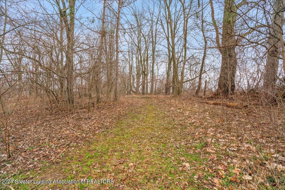 4740 West Clark Road Lansing, MI 48906 - Photo 13 of 37 13-Media Jett-13