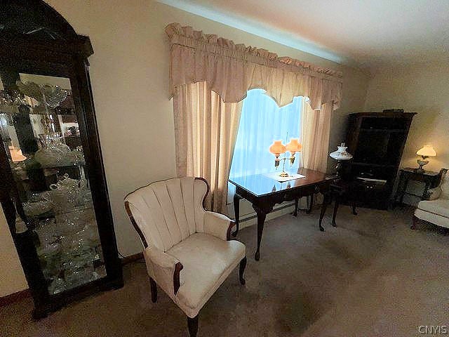 2092 West Genesee St Road Aurelius, NY 13021 - Photo 10 of 33