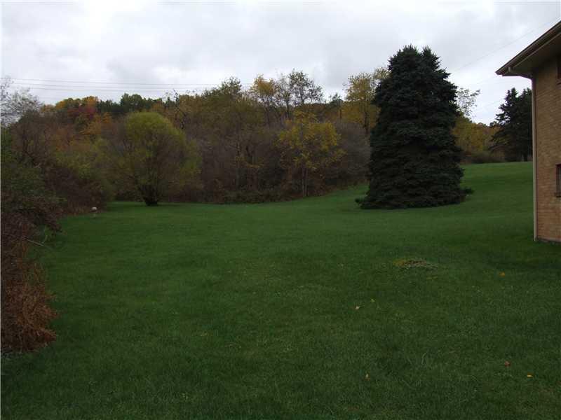 305 Clearfield Road Cabot, PA 16023 - Photo 3 of 12 Yard/Garden.