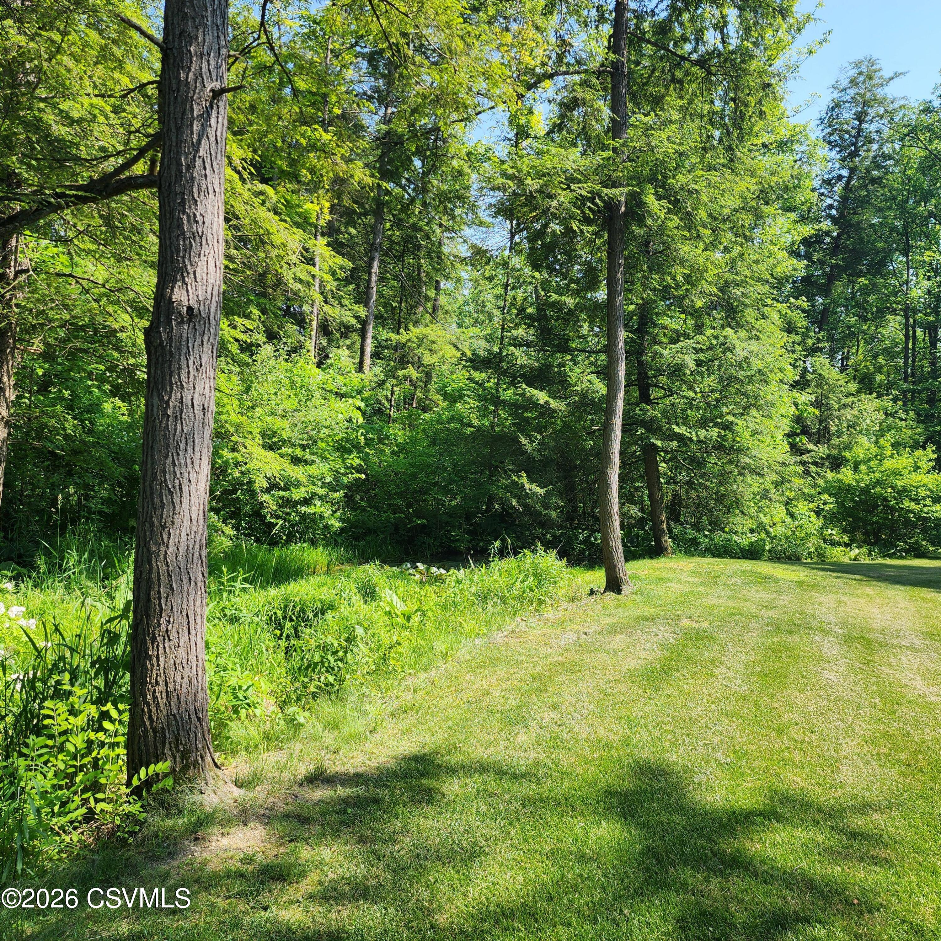 810 Creek Road Mount Pleasant Mills, PA 17853 - Photo 31 of 62 Gallery Image 31
