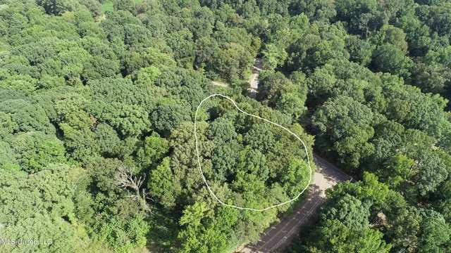 $15,000 | 11048 Horseshoe Bend, Hernando, MS 38632