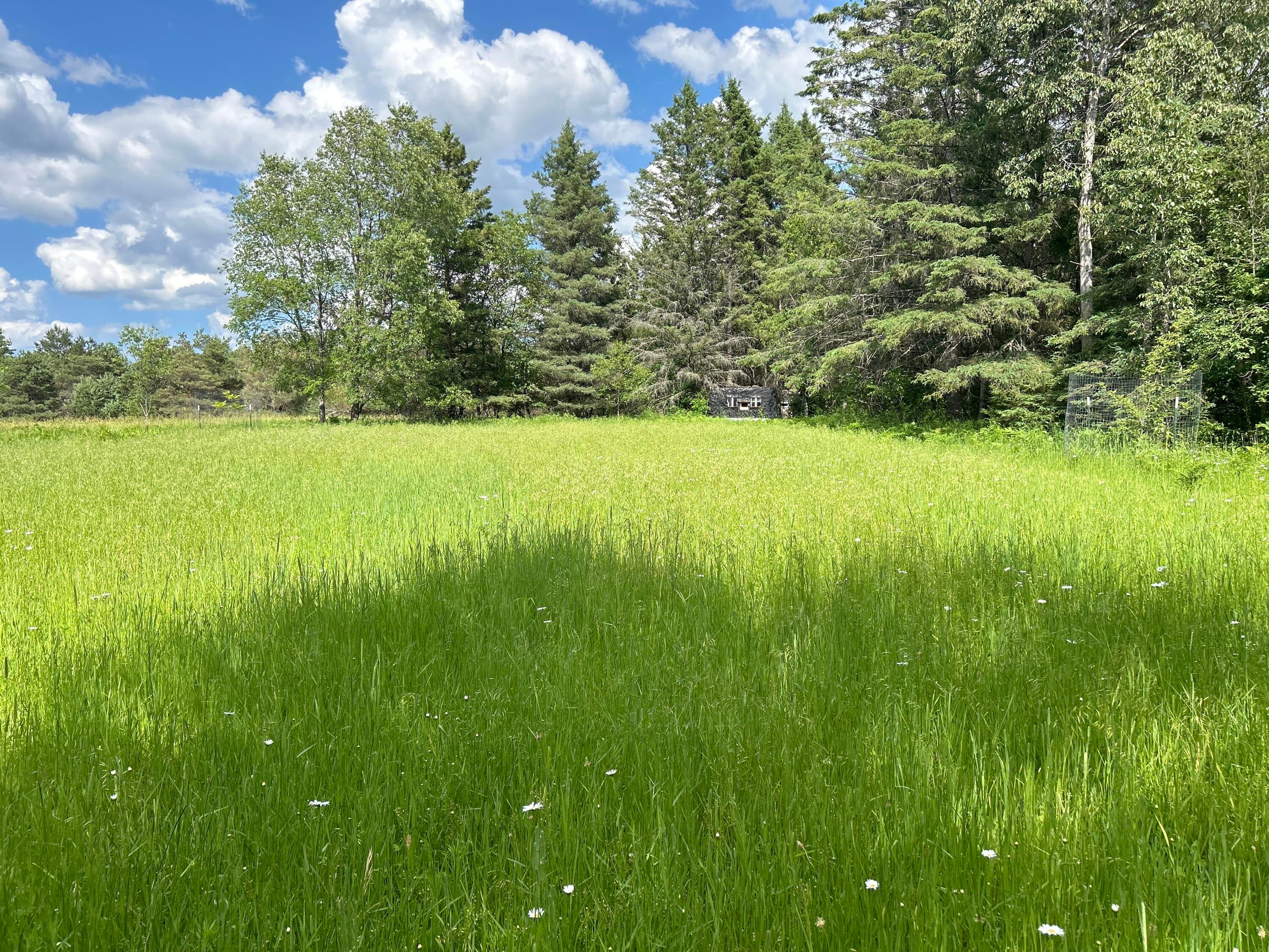 Salina Road Lachine, MI 49753 - Photo 23 of 26 Gallery Image 23