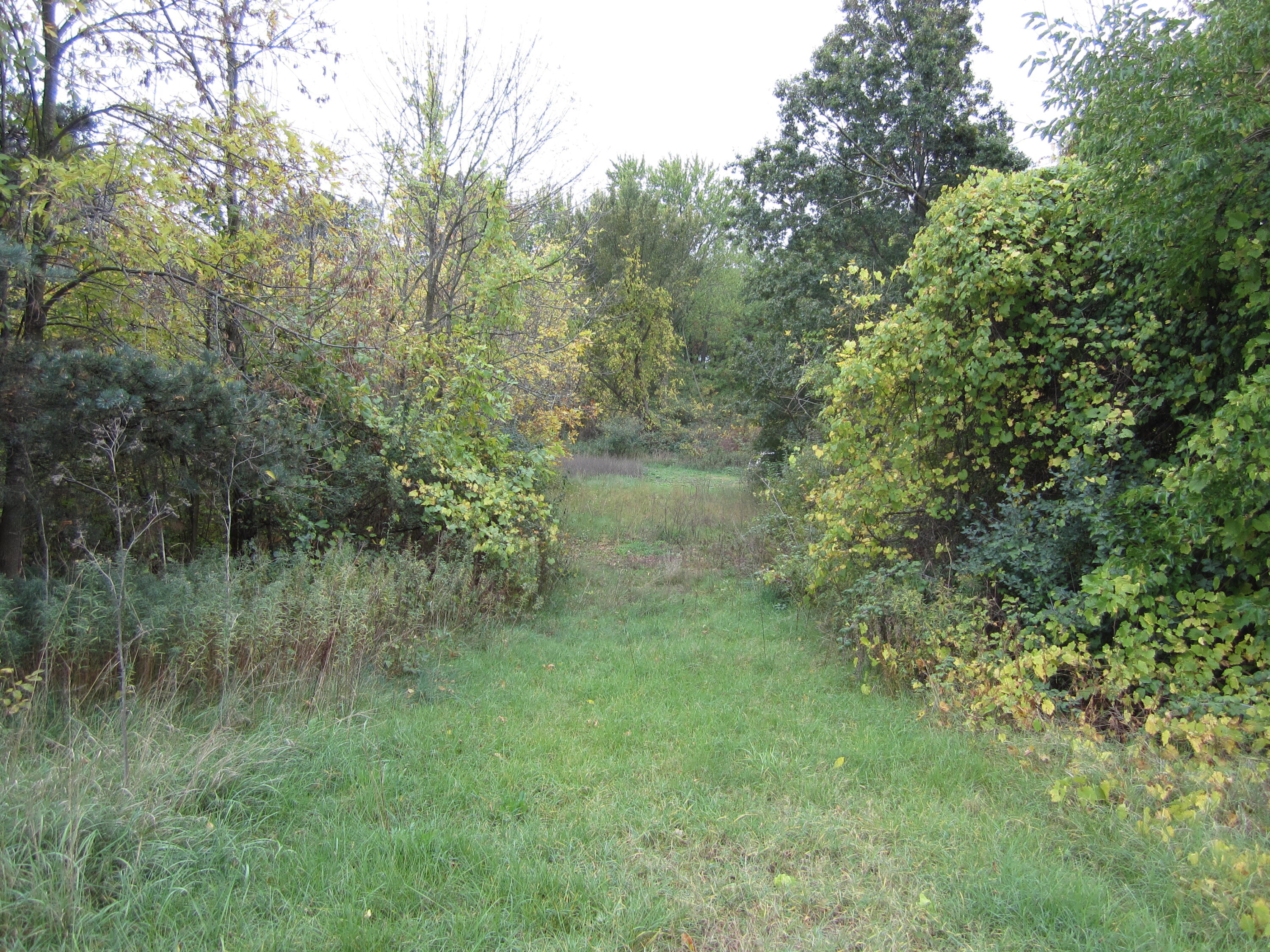12238 Riley Street Holland, MI 49424 - Photo 10 of 15 IMG_5985